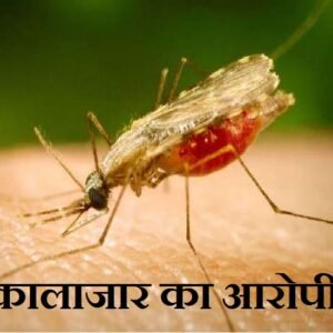 Rashtra Jagrookta | खगड़िया जिले में कालाजार से बचाव हेतु जुलाई माह में किया...